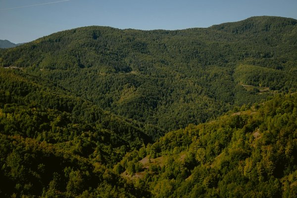 Les Enjeux Cruciaux de l'Aquaculture Écologique et Durable