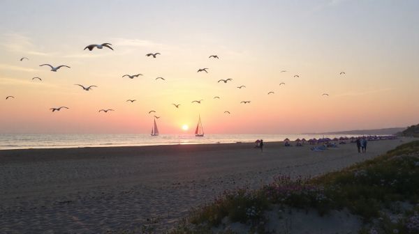 Découvrez les meilleures plages de Bretagne à visiter en mai